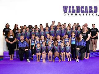 Wildcard Gymnastics main photo