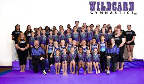 Wildcard Gymnastics main photo