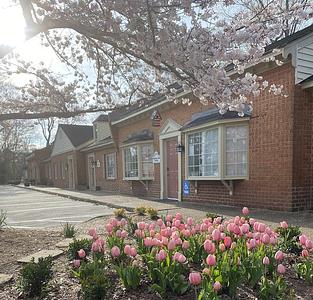 Virginia Beach School of the Arts photo 3