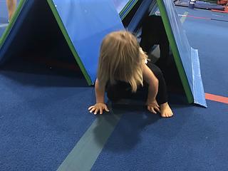 Tidewater Gymnastics Academy main photo