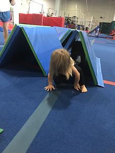 Tidewater Gymnastics Academy main photo