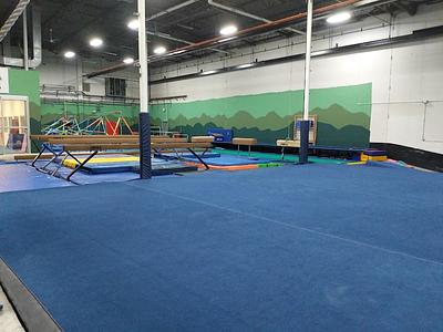 Evergreen Gymnastics photo 2