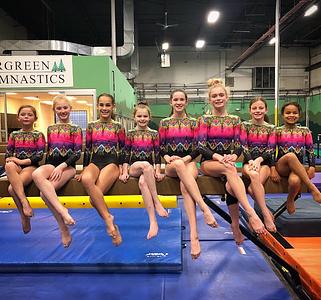 Evergreen Gymnastics photo 3