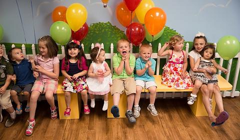 Once Upon A Treetop main photo