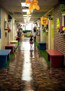 Once Upon A Treetop photo 2