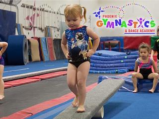 Phoenix Gymnastics Academy main photo