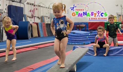 Phoenix Gymnastics Academy main photo