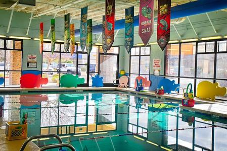 Aqua-Tots Swim School Mesa photo 2