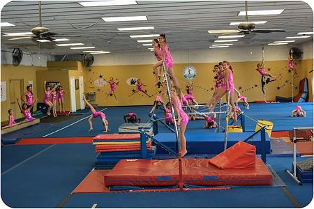 Ms Carol's Gymkids photo 2