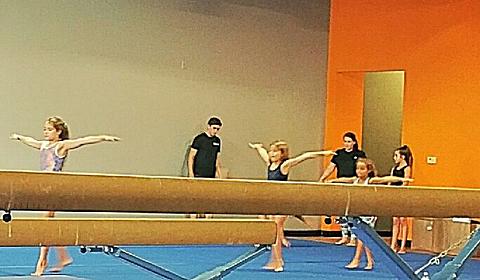 Fortis Gymnastics Academy main photo