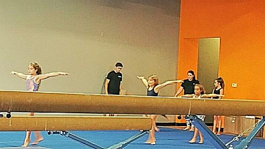 Fortis Gymnastics Academy main photo
