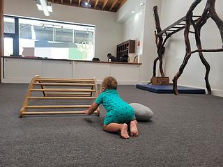 Wild Child Gym main photo
