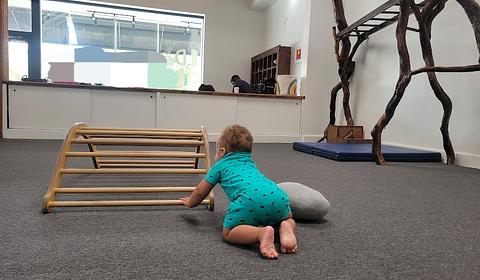 Wild Child Gym main photo