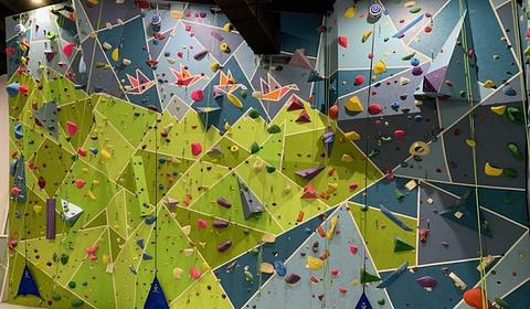 Vertical Horizons Climbing Gym main photo