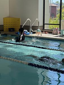 Main Street Swim School: Mission Valley photo 2