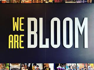 Bloom School of Music and Dance main photo