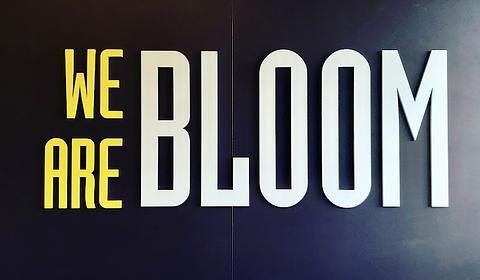 Bloom School of Music and Dance main photo