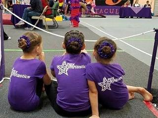 Apex Gymnastics main photo