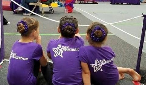 Apex Gymnastics main photo