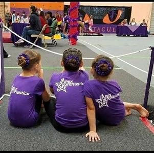 Apex Gymnastics main photo