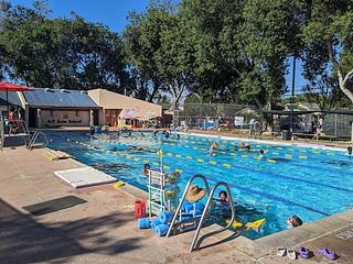 AnT Swim School main photo