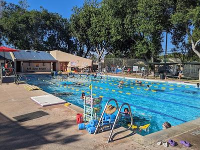 AnT Swim School main photo