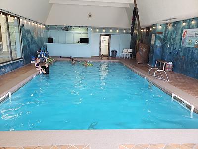 Little Fins Swim School - Garden of the Gods photo 2