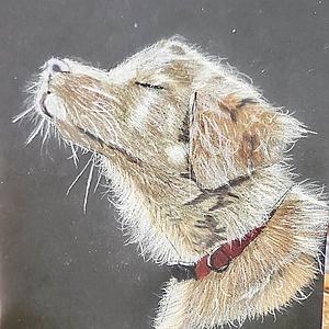 Kids Can Draw photo 3
