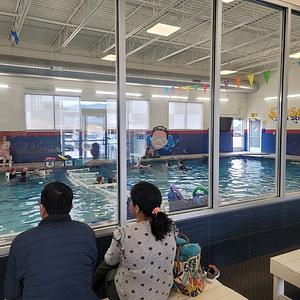SafeSplash Swim School - Colorado Springs (Northgate & I-25) photo 3