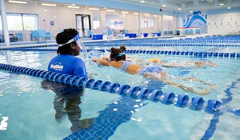 Big Blue Swim School main photo