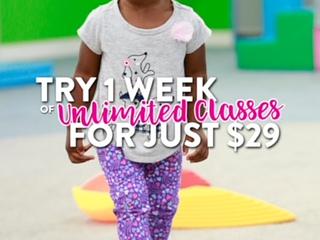 My Gym Children's Fitness Center Harlem main photo
