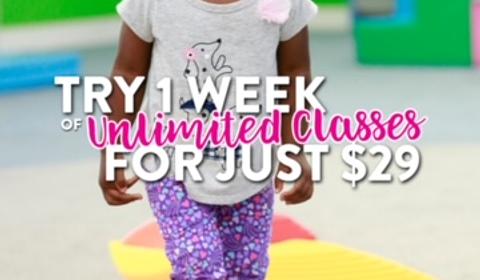 My Gym Children's Fitness Center Harlem main photo