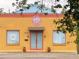 Wild Lotus Yoga main photo