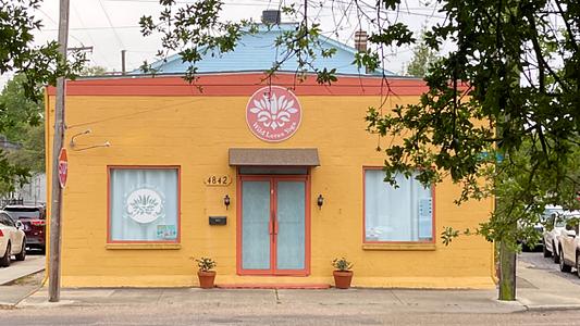 Wild Lotus Yoga main photo