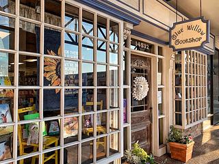 Blue Willow Bookshop main photo