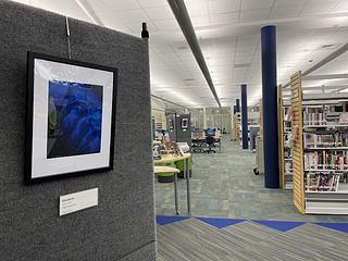 Parr Library main photo