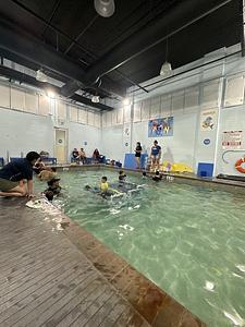 Ocaquatics Swim School Coral Gables main photo