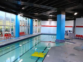 The Swim Revolution main photo