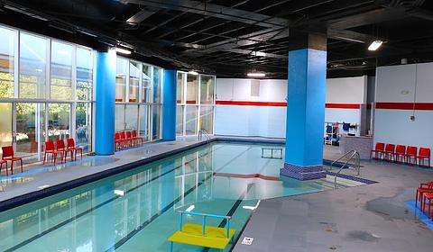 The Swim Revolution main photo