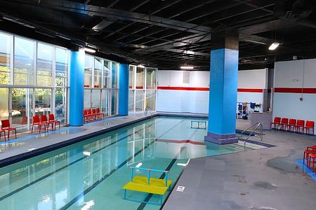 The Swim Revolution main photo