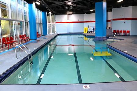 The Swim Revolution photo 3