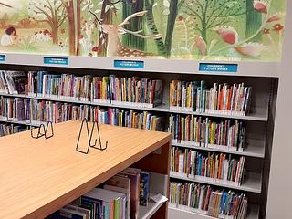 Brooklyn Public Library - Brower Park Branch at Brooklyn Children's Museum main photo