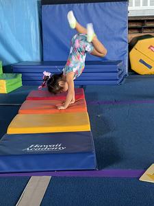 Hawaii Academy - Waipahu Gym photo 3