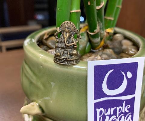 Purple Yoga Hawaii main photo
