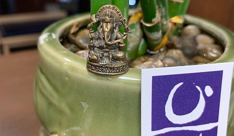 Purple Yoga Hawaii main photo