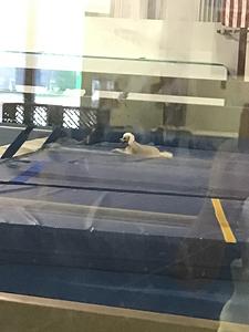 Meridian Academy of Gymnastics main photo