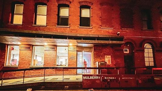 Mulberry Street Library main photo