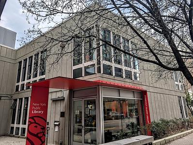 Roosevelt Island Library main photo