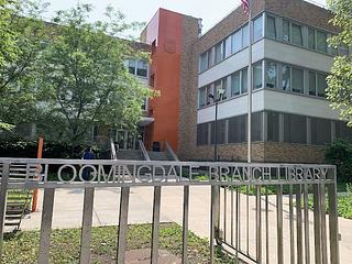 Bloomingdale Library main photo