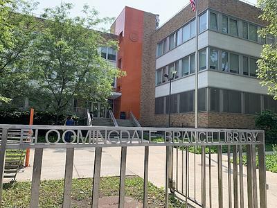 Bloomingdale Library main photo